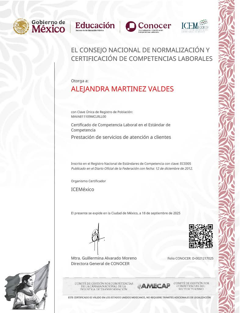 Experiencia Profesional